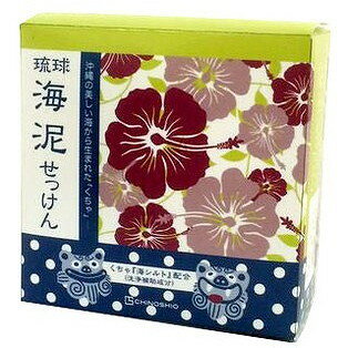 【単品8個セット】琉球海泥せっけん 100g (株)地の塩社(代引不可)【送料無料】 【単品8個セット】琉球海泥せっけん 100g (株)地の塩社(代引不可)【送料無料】