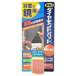 【単品2個セット】ダイヤモンドパットmini 鏡・ガラス用 ヒューマンシステム(代引不可)