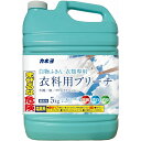 【単品9個セット】カネヨブリーチ 5kg カネヨ石鹸(代引不可)【送料無料】(3)