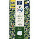 【単品15個セット】エルモアいちばん お茶の力パンツ M~L 20枚 カミ商事(代引不可)【送料無料】