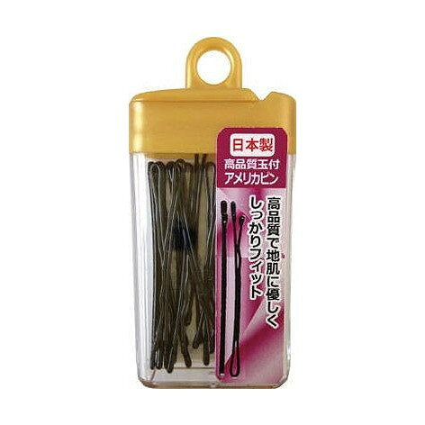 【単品1個セット】 AH-06高品質玉付アメリカピン13本入 株式会社アヌシ(代引不可)