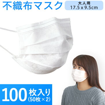 マスク　大人用　（50枚入り）　×2個セット(代引き不可)【送料無料】