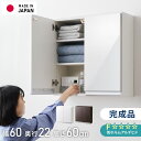 選べる吊戸棚豊富なサイズ 壁面収納 吊戸棚 縦型 幅60 奥行22 完成品 日本製 F☆☆☆☆ キッチン 洗面所 リビング 吊り戸棚 棚 可動棚 高さ調節 鏡面 木目 ホワイト ダークブラウン 完成品 洗面所収納(代引不可)【送料無料】