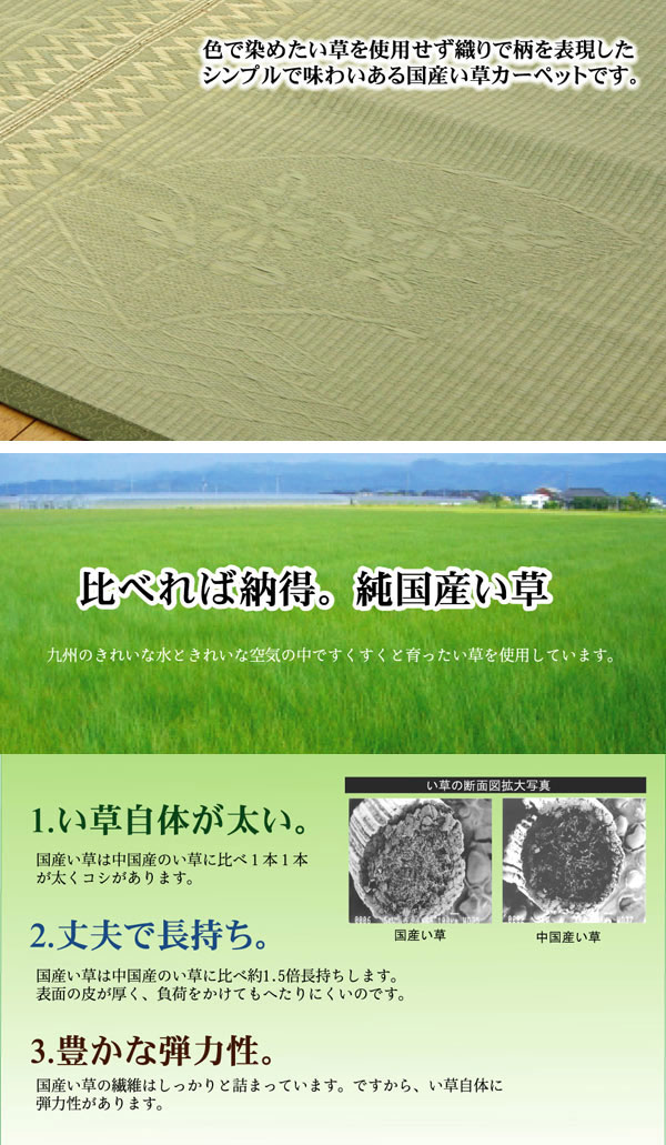 純国産 イ草花ござカーペット 『扇』 江戸間4.5畳(約261×261cm)【送料無料】【代引き不可】 [2]