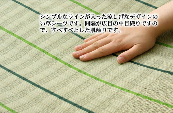 純国産 い草のシーツ(寝ござ) 『葉月』 ブルー シングル約88×180cm(代引き不可)【送料無料】 [2]