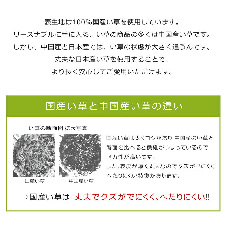 純国産 フリーマット ことり ネイビー 約70×120cm (中材:固綿15mm) 寝具 寝具カバー・シーツ・マット マット(い草) 和モダン(代引不可)【送料無料】 [3]