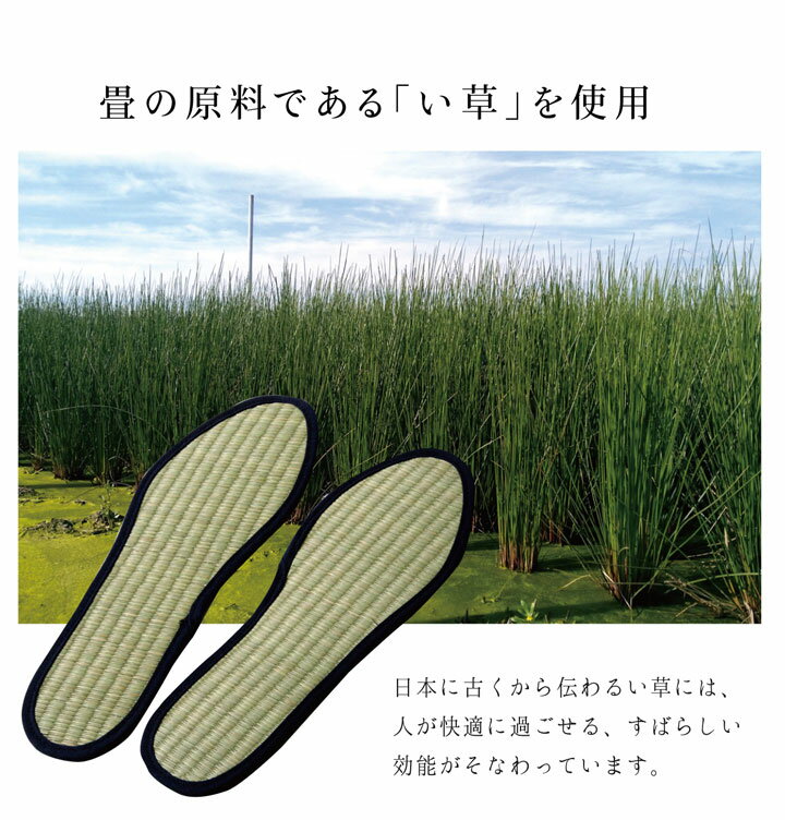 インソール レディース 消臭 抗菌 「い草イン...の紹介画像3