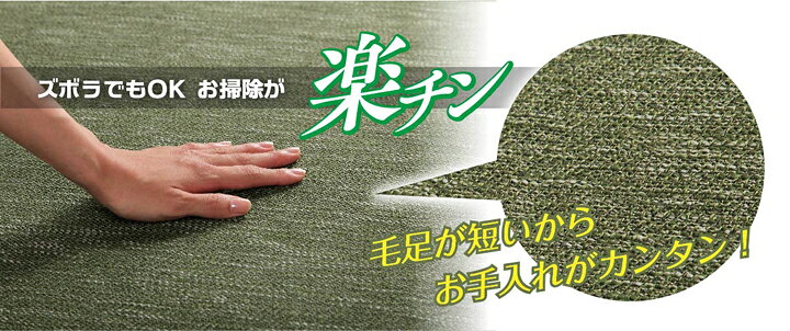 ラグ カーペットマット 3畳 ジャガード ブラウン 約185×240cm ホットカーペット対応(代引不可)【送料無料】 [2]