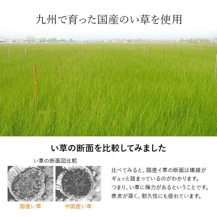 敷きパッド い草 110×200cm セミダブル 日本製 寝具 シーツ 敷きパッド 国産 国産 さらさら 吸汗 調湿 消臭 お手入れ簡単 ブルー インテリア 寝具 おしゃれ オールシーズン インテリア(代引不可)【送料無料】 [2]