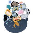 11匹にゃんこ バランス積み木 積み木 猫 バランス 室内遊び 親子であそぶ 子ども 大人 知育玩具 手指の運動(代引不可)【送料無料】