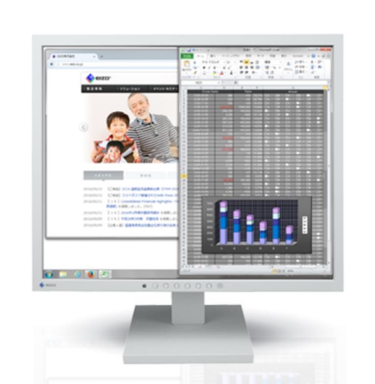 EIZO FlexScan19˥(1280x1024/DisplayPort(HDCPб)x1/DVI-D 24ԥ(HDCPб)x1/D-Sub 15ԥ(ߥ)x1/졼󥰥쥤) S1934-TGY(Բ)