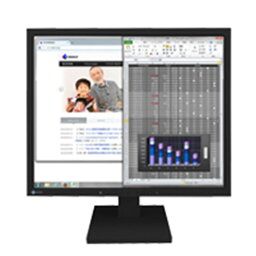 EIZO ＜FlexScan＞19インチモニター(1280x1024/DisplayPort(HDCP対応)x1/DVI-D 24ピン(HDCP対応)x1/D-Sub 15ピン(ミニ)x1/ブラック) S1934-TBK(代引き不可)