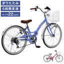 マイパラス 自転車 M-802F 子供用 22インチ ジュニアサイクル 折り畳み 折りたたみ オートライト 街乗り 町乗り サイクリング 買い物 MYPALLAS(代引不可)【送料無料】