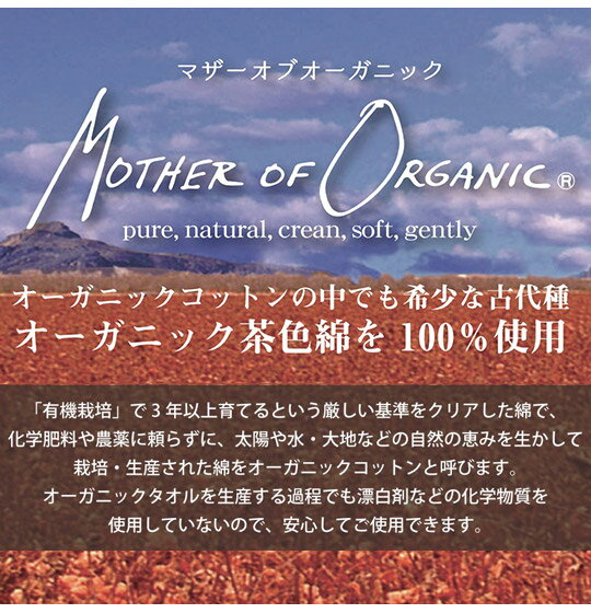 日本製 泉州産 茶綿仕様 オーガニックコットン100% バスタオル 70×120 アラベスク タオル 国産 厚手 高級感 おしゃれ かわいい モダン(代引不可)【送料無料】