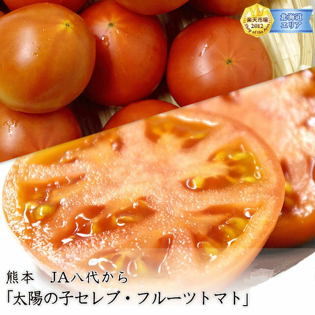 特Aランク品 産地直送 熊本産 トマト 太陽の子セレブ・フルーツトマト 約1キロ（9玉〜16玉）【送料無料】