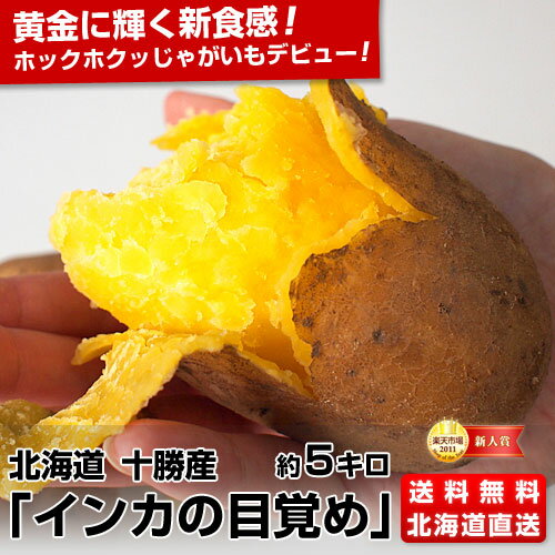 特Aランク品 産地直送 北海道十勝産　インカのめざめ　（M〜Lサイズ）約5キロ【送料無料】