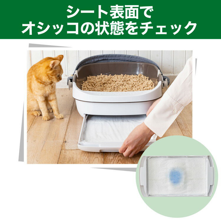 エステーペット 実感消臭シート 猫用システムトイレ 20枚 システムトイレ用 シート 猫シート トイレシート 猫用シート 猫トイレ エステー【送料無料】 2