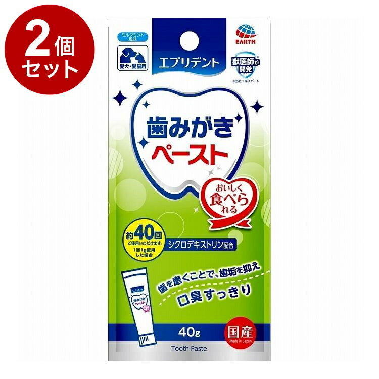 【2個セット】 アースペット エブリデント 歯みがきペースト 40g