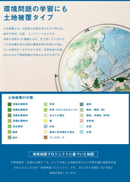 地球儀 レイメイ藤井 全回転フレーム地球儀 OYV260 インテリア 子供用 学習 自由研究 全回転 土地被覆【あす楽対応】【送料無料】