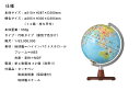 地球儀 レイメイ藤井 しゃべる国旗付き地球儀スタンダード 径20cm 音声機能 国旗付 地球儀スケール 行政タイプ 学習 自由研究 子供用 小学生 グローブ インテリア 卓上 プレゼント ギフト 入学祝い 知育玩具 OYV46 【送料無料】 2