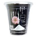 自然彩色 白髪染め 染美A ナチュラルブラック 30g【送料無料】