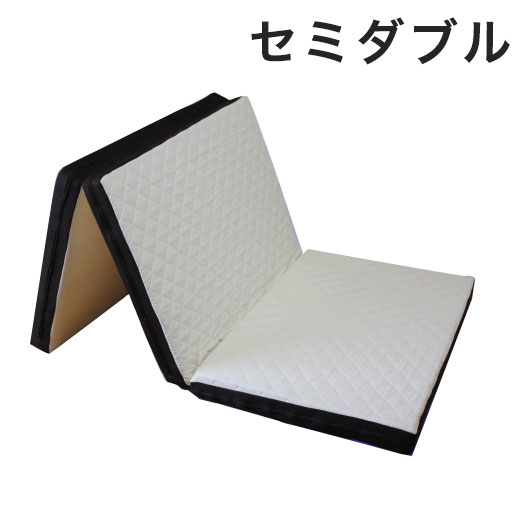 日本製アキレスAchillesセミ...