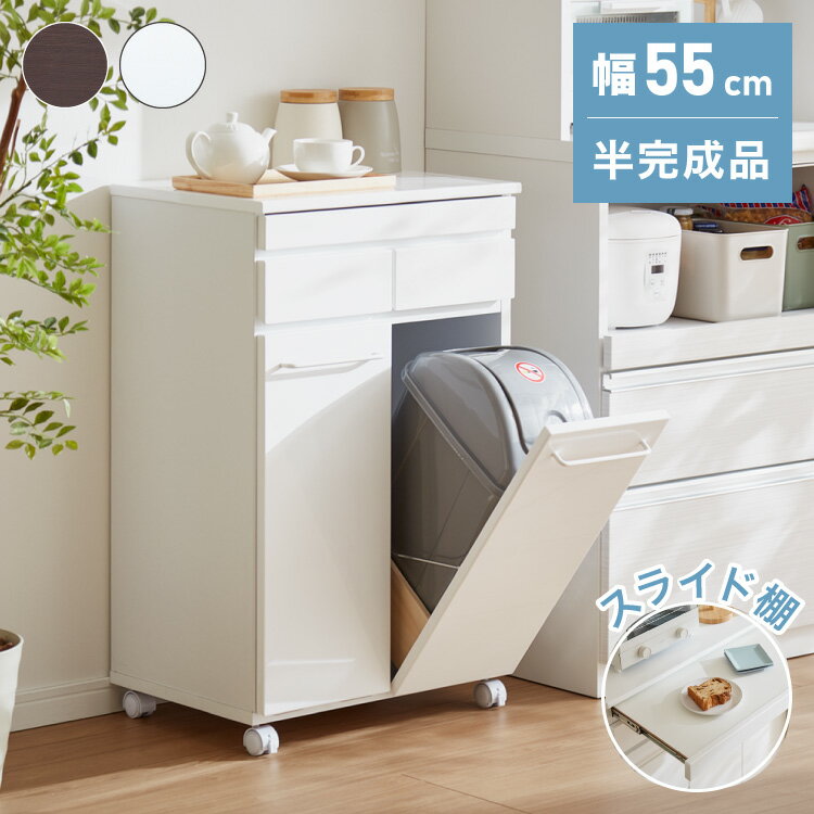 Pipe Type - スライド棚付きダストボックス 分別 大容量 2分別 ごみ箱 ゴミ箱 幅55 スリム キッチンカウンター 鏡面 間仕切り スライドトレー レンジ台 キッチンラック 白 ホワイト キャスター おしゃれ(代引不可)【送料無料】
