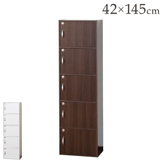 鍵付きボックス 5段 全段鍵付き 安心 扉付き 収納 チェスト ラック キャビネット シェルフ 書棚 書庫 カラーボックス プライバシー保護 施設 介護 白 ホワイト おしゃれ(代引不可)【送料無料】