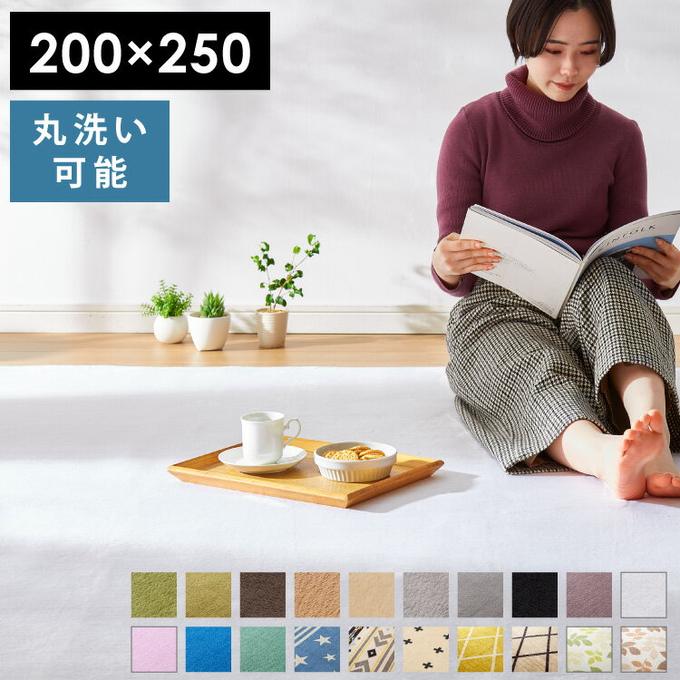 【送料無料】ラグ カーペット 洗える 200×250cm 長方形 フランネルマ...