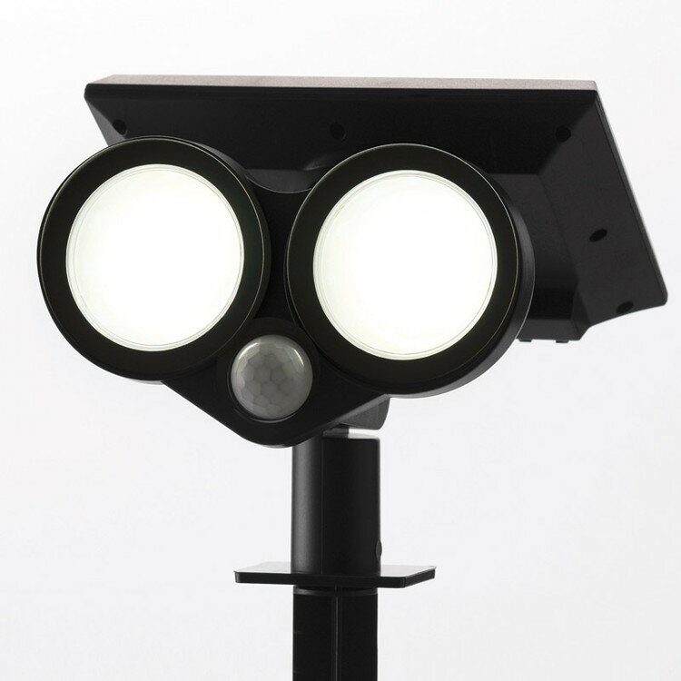 �����顼�����ǥ�饤��(�ʹ����󥵡�������) �����ǥ˥� SV-7442(����Բ�)������̵����