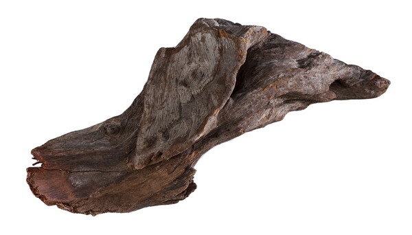 �����å��� GEX ŷ��ή�� SS