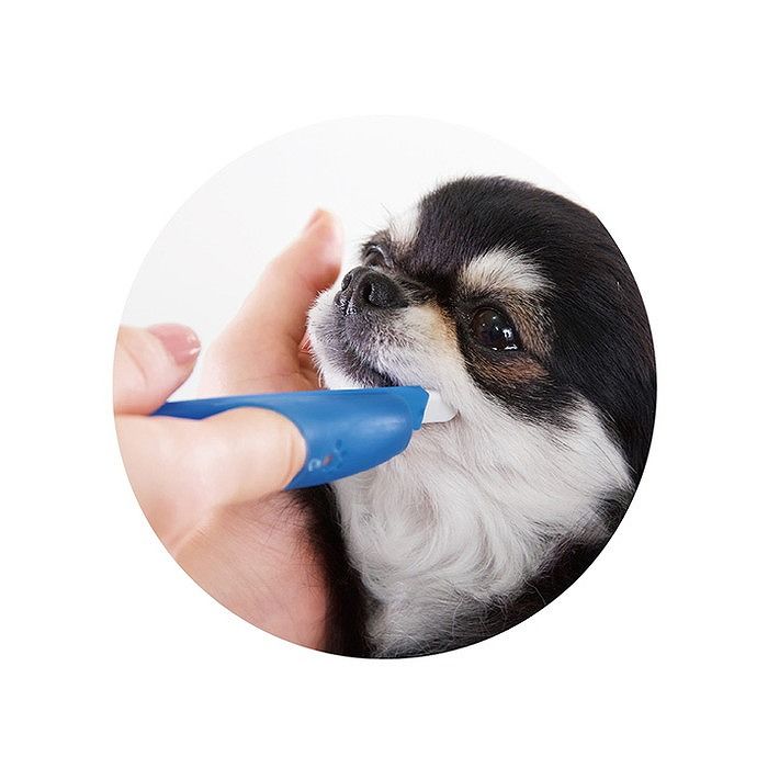 ライオン商事 PETKISS 指サック歯ブラシ コンパクト 1本