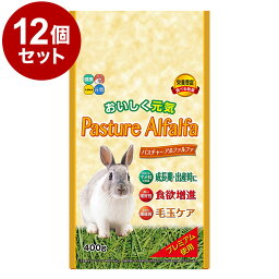 【12個セット】 ハイペット パスチャーアルファルファ 400g x12 4.8kg 4800g 牧草 チモシー 餌 エサ 主食 草食 フード 食事 小動物 ウサギ モルモット うさぎのエサ【送料無料】