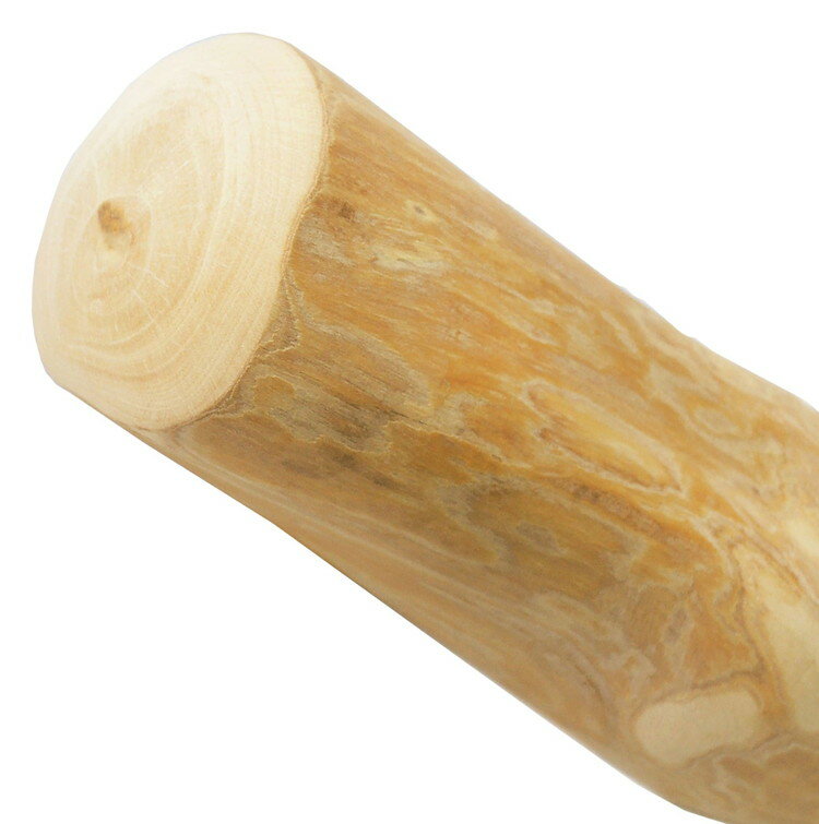 �ڥåĥ롼�� ���ե����塼���å�M