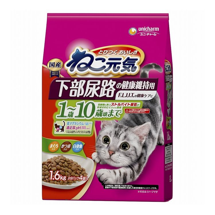 【商品説明】とびつく おいしさ！・若齢猫に多いストルバイト尿石が、形成されにくいように配慮。・適正な尿pHコントロール：アミノ酸とミネラルのバランスを調整した栄養設計で、尿のpHを弱酸性(設計値pH6.0〜6.4)になるようにコントロール●原材料(成分)穀類(トウモロコシ、パン粉、コーングルテンミール)、肉類(ビーフミール、チキンミール、チキンエキス等)、動物性油脂、魚介類(フィッシュエキス、フィッシュミール、まぐろミール、かつおミール、白身魚ミール)、野菜類(ビートパルプ)、酵母エキス、ミネラル類(カルシウム、塩素、コバルト、銅、鉄、ヨウ素、カリウム、マンガン、リン、亜鉛)、アミノ酸類(タウリン、メチオニン)、ビタミン類(A、B1、B2、B6、B12、C、D、E、K、コリン、ナイアシン、パントテン酸、ビオチン、葉酸)、着色料(赤色102号、赤色106号、黄色4号、黄色5号)、酸化防止剤(ミックストコフェロール、ハーブエキス)●エネルギー約360kcal/100g●賞味／使用期限(未開封)18ヶ月※仕入れ元の規定により3ヵ月を切った商品は出荷致しません●保存方法・直射日光や高温多湿を避け、小児の手が届かない、涼しく、風通しのよい場所に保管してください。・開封後は、虫などが入らないように密閉して衛生的に保管し、早めにお使いください。・本品の空き袋をおもちゃにしないでください。●原産国または製造地日本【送料について】北海道、沖縄、離島は送料を頂きます。