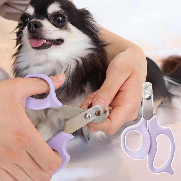 モアグレード やさしい犬用爪切り More grade 犬 いぬ イヌ ドッグ DOG 愛犬 猫 ねこ ネコ キャット CAT 愛猫 手入れ ていれ テイレ 犬 猫 用品 お手入れ用品 ブラシ・詰切り【送料無料】