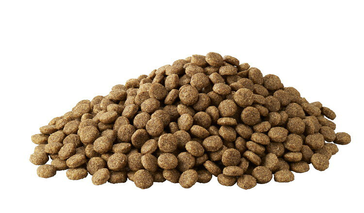 【2個セット】 アイムス 成犬用 健康維持用 チキン 小粒 2.6kg【送料無料】 2