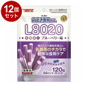 【12個セット】 マルカン サンライズ ゴン太の歯磨き専用ガムSSサイズ L8020乳酸菌入り ブルーベリー味 120g【送料無料】