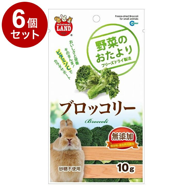 【6個セット】 マルカン 野菜のおたより ブロッコリー 10g