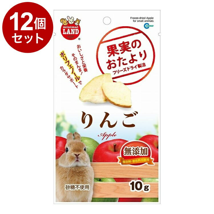 【12個セット】 マルカン 果実のおたより りんご 10g【送料無料】