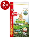 【2個セット】 マルカン バニーグレード チモシー 1kg