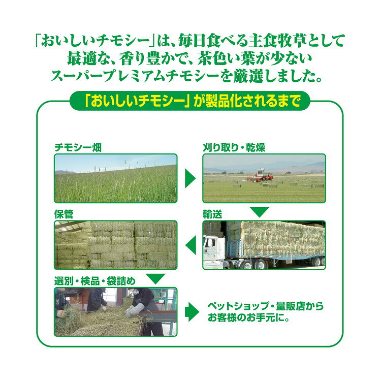 リコメン堂生活館の【6個セット】 GEX ジェックス おいしいチモシー 1.1kg【送料無料】｜アングル2