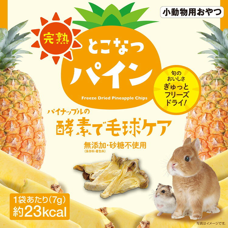 リコメン堂生活館の【18個セット】 GEX ジェックス 完熟 とこなつパイン 7g【送料無料】｜アングル3