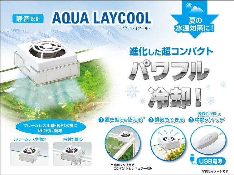 GEX �����å��� �������쥤������ �쥮��顼������̵����