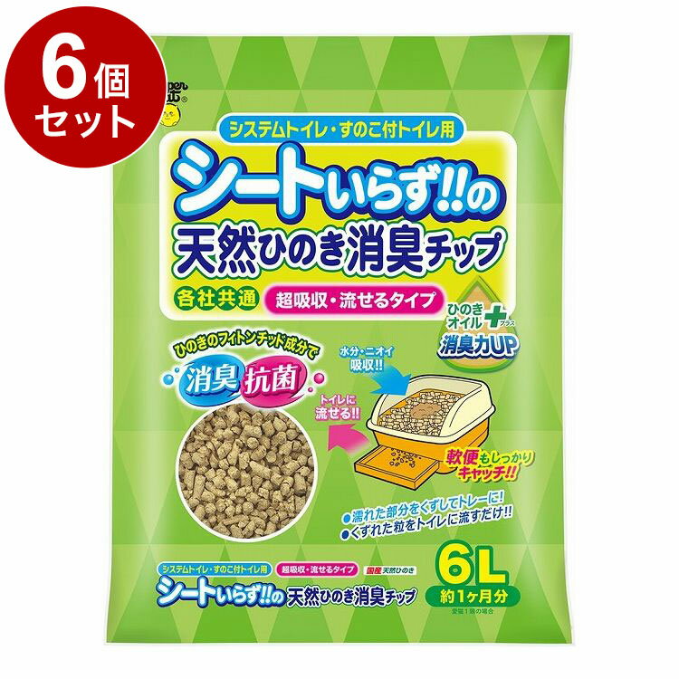 ��6�ĥ��åȡ� �����ѡ�����å� NEW�����Ȥ��餺��ŷ���ҤΤ��ý����å� �ҤΤ�������ץ饹 6L ǭ�� �ͥ��� ǭ�ѥȥ��� ǭ�� �ȥ��� ���������������̵...