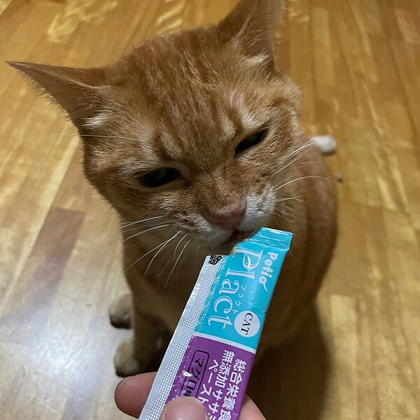 リコメン堂生活館のペティオ プラクト ねこちゃんの 総合栄養食 無添加 ササミペースト マグロ味 4本入｜アングル3