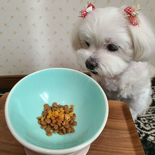 ��18�ĥ��åȡ� �ڥƥ��� �Ǻऽ�Τޤ� ���Ĥޤ��� �դ꤫�������� 120g������̵����