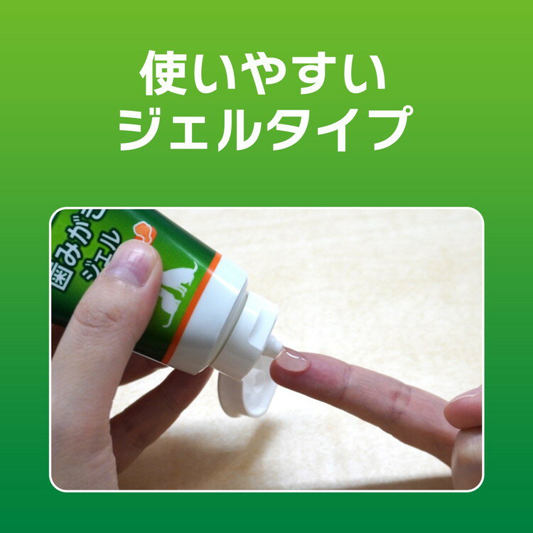 【3個セット】 ライオンペット PETKISS 歯みがきジェル リーフの香り 40g