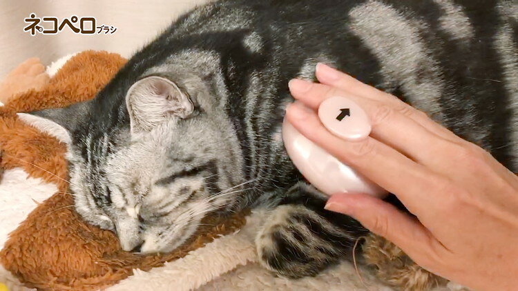 【2個セット】 ライオンペット ペットキレイ ごきげんケア ネコペロブラシ