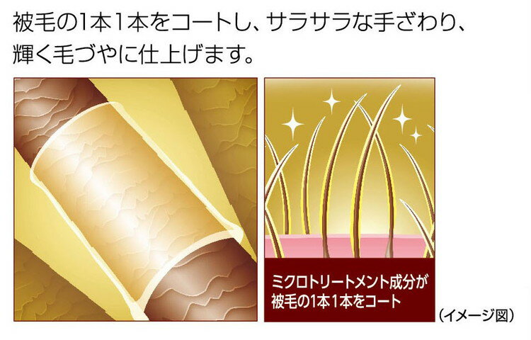 �饤����ڥå� Quick&Rich �ȥ꡼�ȥ��ȥ��󥷥��ס������� ��ǭ�� 20��